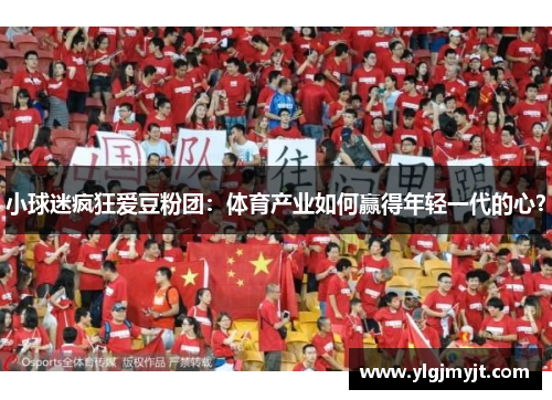 小球迷疯狂爱豆粉团：体育产业如何赢得年轻一代的心？